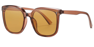 {{brizy_dc_image_alt imageSrc=